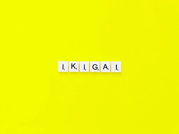 Bilan de compétence à nantes : trouvez votre voie avec ikigaï